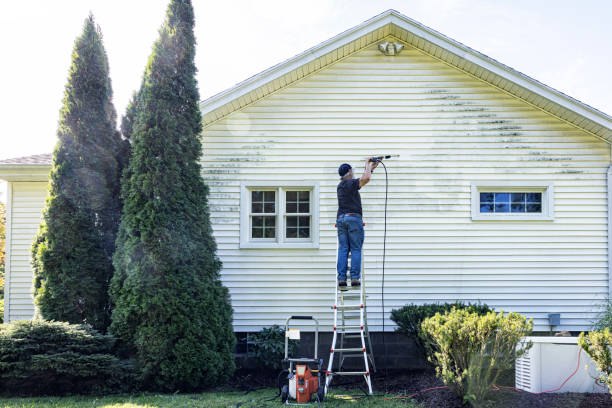 Why Choose Our Certified Pressure Washing Experts for Your Project Needs in Seco Mines, TX?