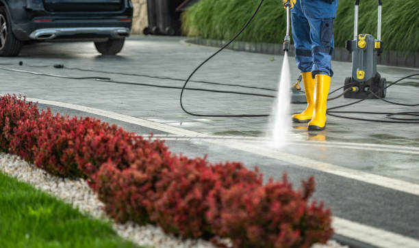 Best Pressure Washing Near Me  in Seco Mines, TX